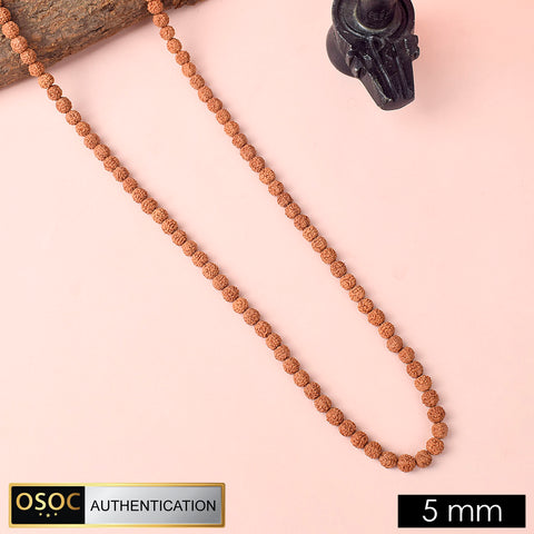 5mm Pathariya Rudraksh Mala