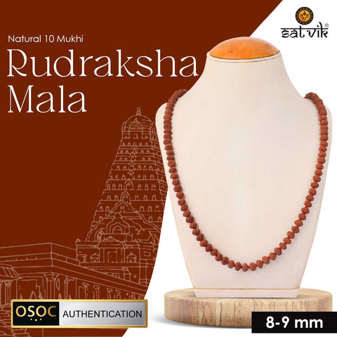 10 Mukhi Rudraksha Mala 8-9mm