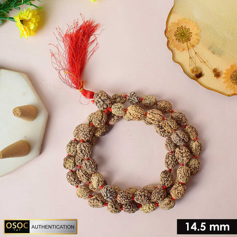 3 Mukhi Kantha Rudraksha Mala