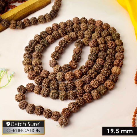 5 Mukhi Special Kantha Rudraksha Mala