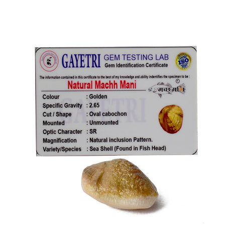 Natural golden Machh Mani spiritual stone in polished finish, placed on decorative altar setup for pooja and astrological remedies. India’s Largest Pooja Accessories Brand - www.satvikstore.in
