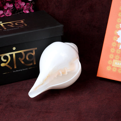 Natural 100% original sacred blowing Shankh 13 cm conch shell used for daily puja, temple rituals, and spiritual ceremonies. India’s Largest Pooja Accessories Brand – www.satvikstore.in
