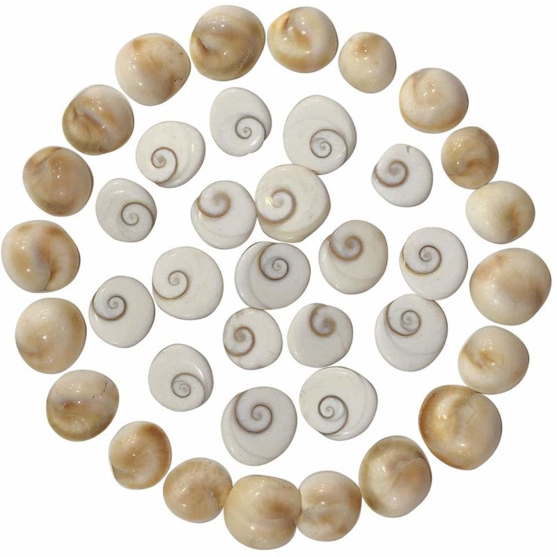 Gomti Chakra 101 Pcs Puja Store Online Pooja Items Online Puja Samagri Pooja Store near me www.satvikstore.in